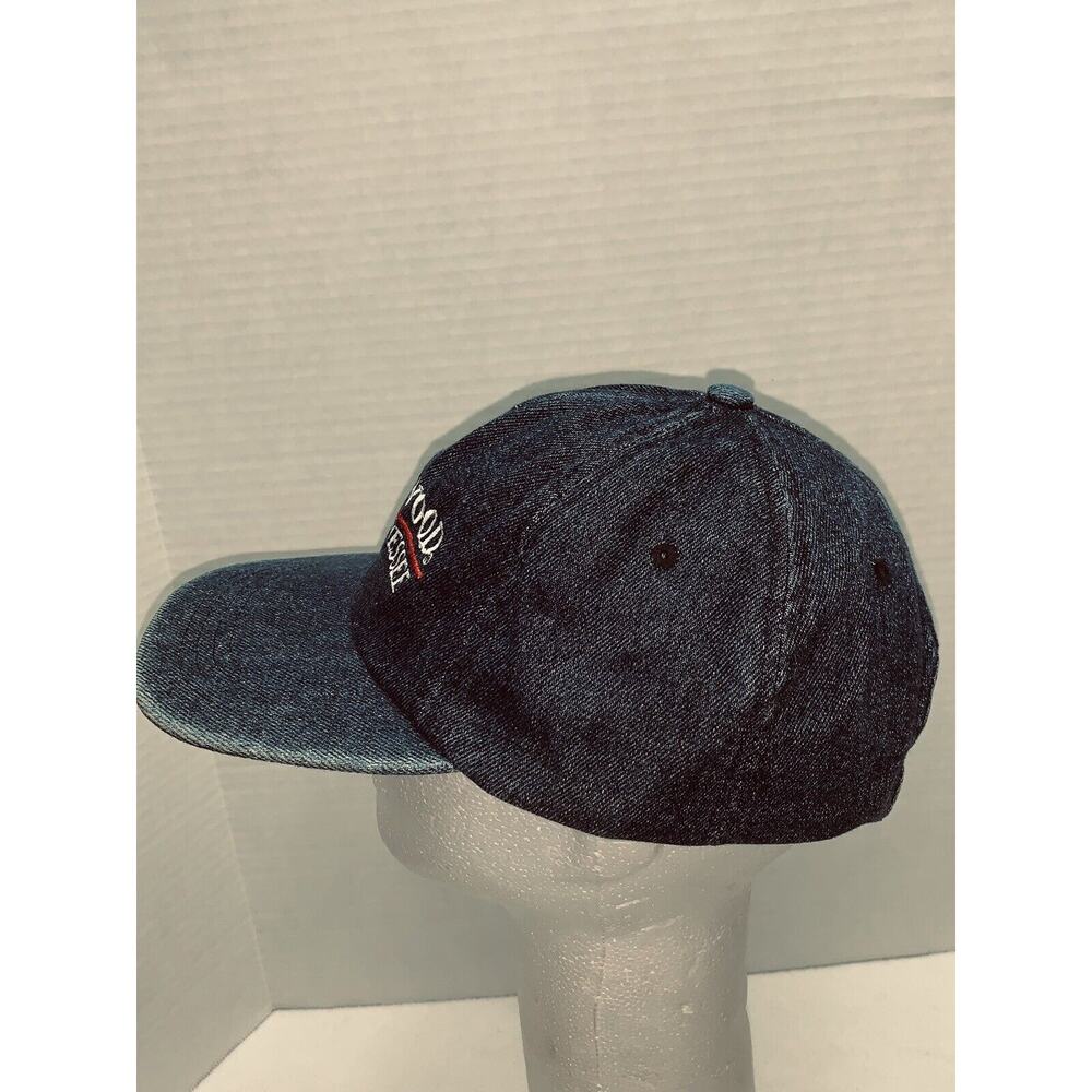 Vintage Dollywood Tennessee Strapback Cap Chambray Denim 90s J Hats USA - Picture 7 of 9